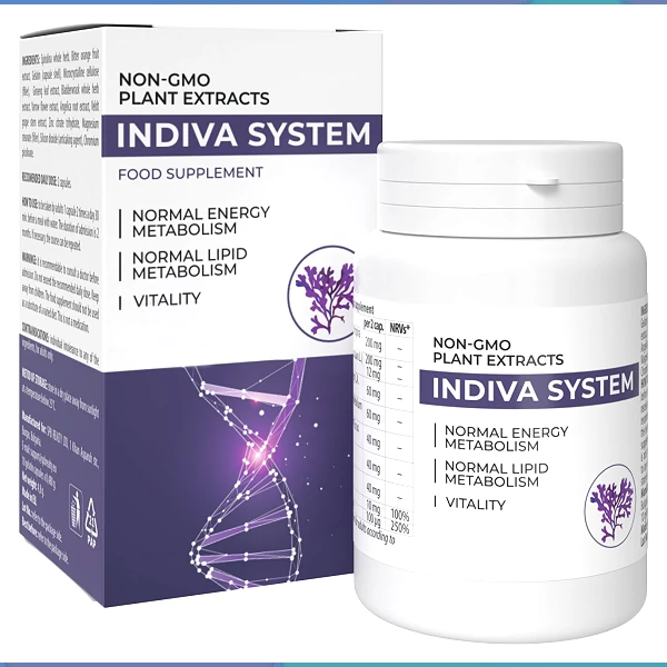 InDiva System